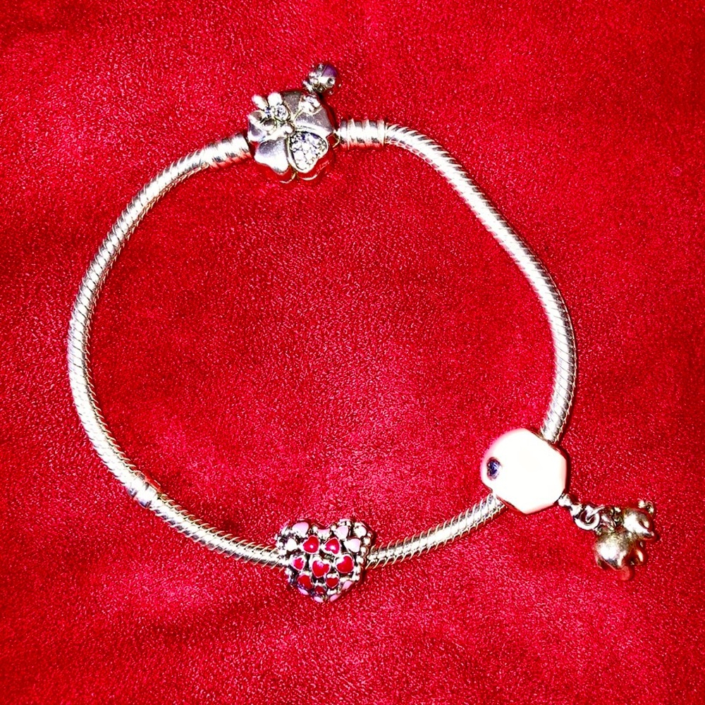 Pandora moments sneak chain bracelet